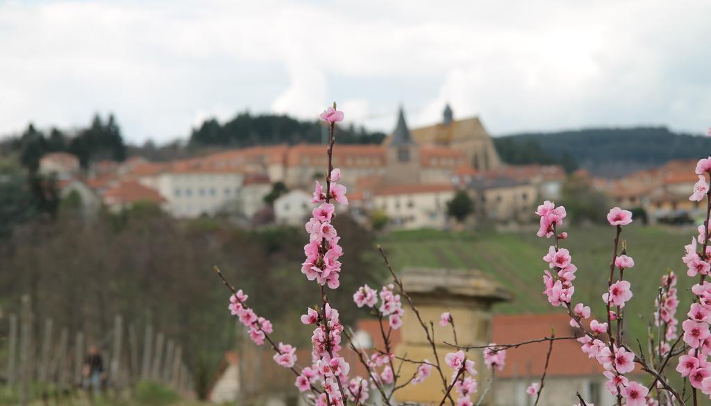 Gites Le Lancelot Ambierle Exterior photo